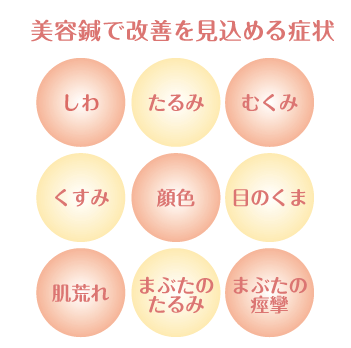 美容鍼で改善を見込める症状：しわ、たるみ、むくみ、くすみ、顔色、目のくま、肌荒れ、まぶたのたるみ、まぶたの痙攣