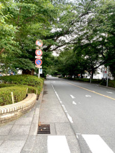 ウォーキング中の風景3