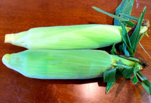 とうもろこしの写真